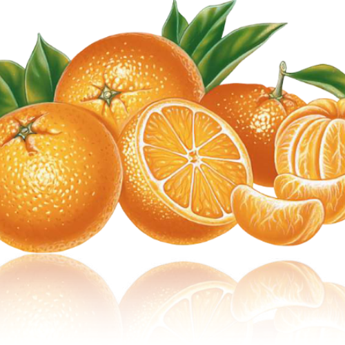 Nous avons vu des oranges amères